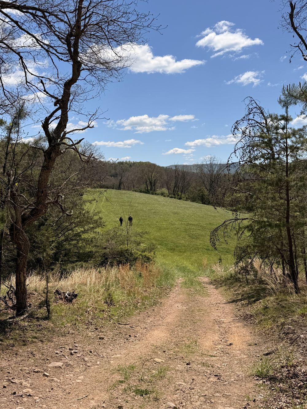 The interior road at Parker Hollow opening onto a hillside meadow, with wooded ridges beyond